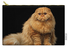 Scottish Fold Carry-All Pouches