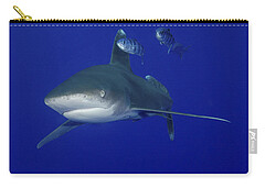 Designs Similar to Oceanic Whitetip Shark Swimming
