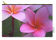 Designs Similar to Pink Plumeria by Brian Harig