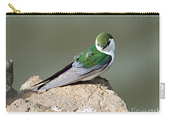 Violet-green Swallow Zip Pouches