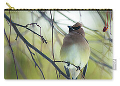 Cedar Waxing Carry-All Pouches