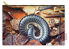 Millipede Carry-All Pouches