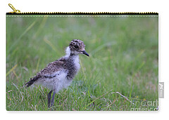 Lapwing Carry-All Pouches