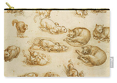 Designs Similar to Cats, lions, and a dragon, 1518