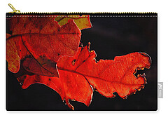 Fall Trees Highlighted By The Sun Zip Pouches