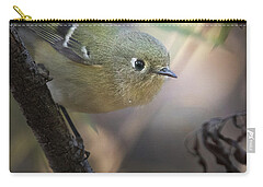 Ruby-crowned Kinglet Birds Zip Pouches