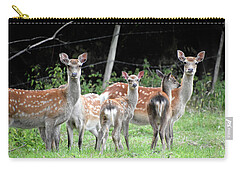 Sika Deer Zip Pouches
