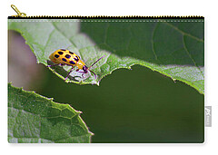 Spotted Cucumber Beetle Zip Pouches