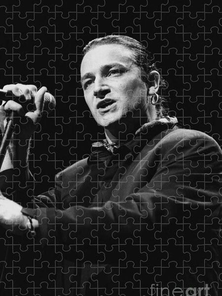 U2 groupe de rock Bono 528 Piece Jigsaw Puzzles 