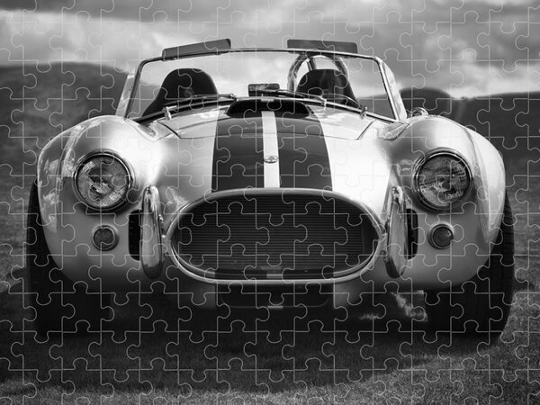 cobra azul - ePuzzle photo puzzle