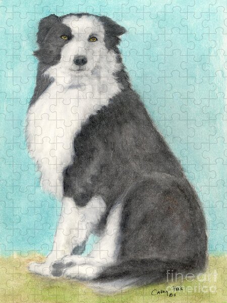 https://render.fineartamerica.com/images/rendered/search/flat/puzzle/images-medium-5/border-collie-dog-sitting-canine-animal-pets-art-cathy-peek.jpg?&targetx=-1&targety=0&imagewidth=750&imageheight=1000&modelwidth=750&modelheight=1000&backgroundcolor=B0D9D4&orientation=1&producttype=puzzle-18-24&brightness=605&v=6
