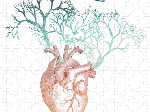 Human Life Cycle Puzzle