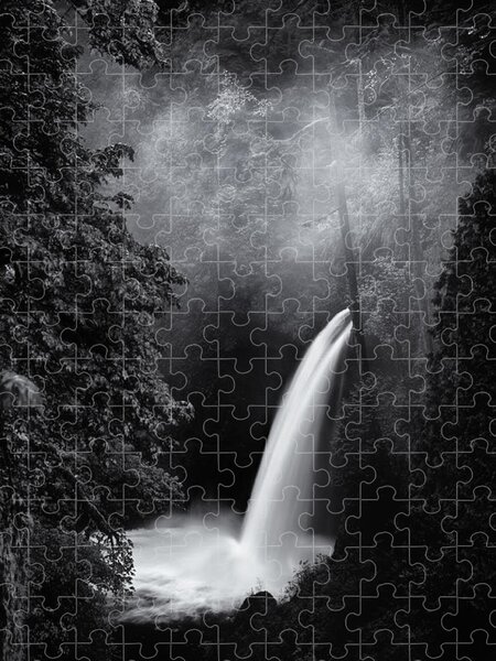 Monochrome Puzzles | Pixels
