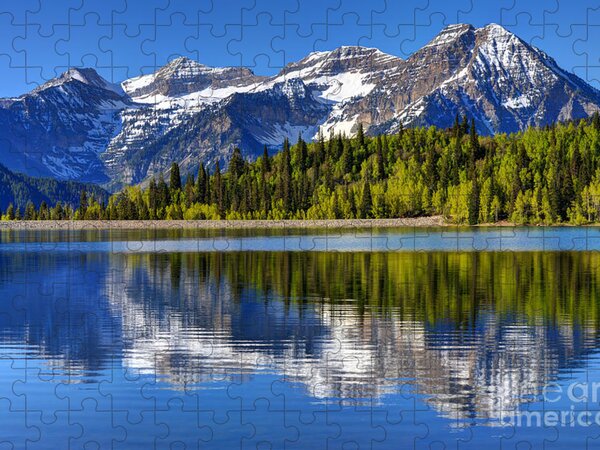 The Sierra Range - Jigsaw Puzzle – Cincinnati Nature Center - The