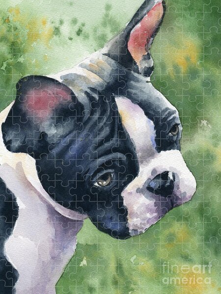 Boston Terrier Puzzles | Fine Art America
