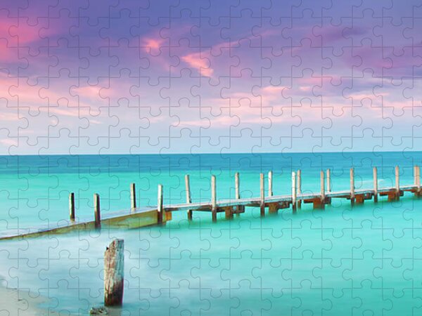 Moby Dick 1 Jigsaw Puzzle by Jerry LoFaro - Pixels Puzzles