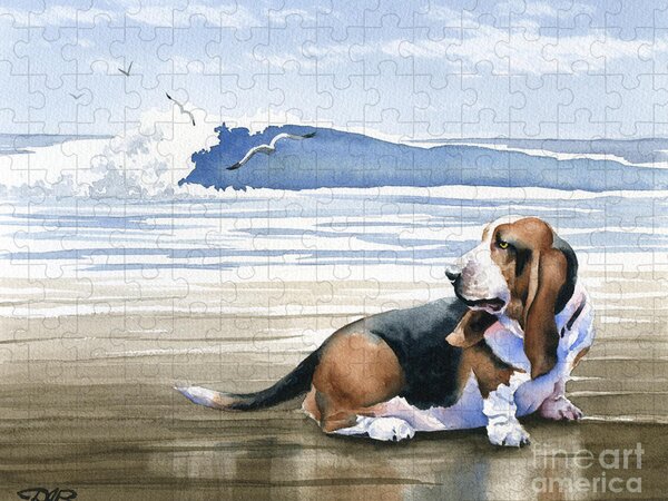 https://render.fineartamerica.com/images/rendered/search/flat/puzzle/images/artworkimages/medium/1/basset-hound-at-the-beach-david-rogers.jpg?brightness=729&v=6