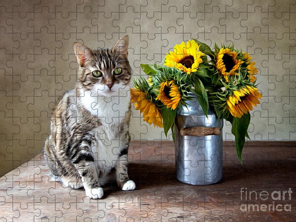 Flowers Jigsaw Puzzles