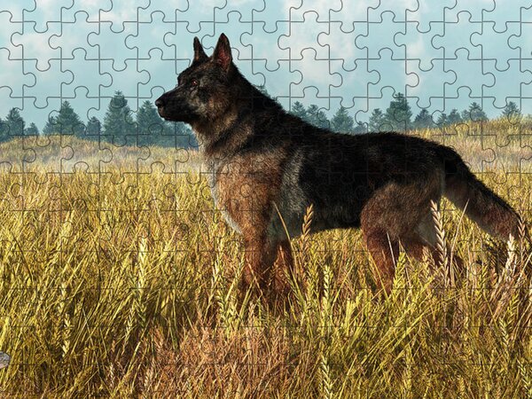Odog German Shepherd Walks Fairy Forest Jigsaw Puzzle by Peek