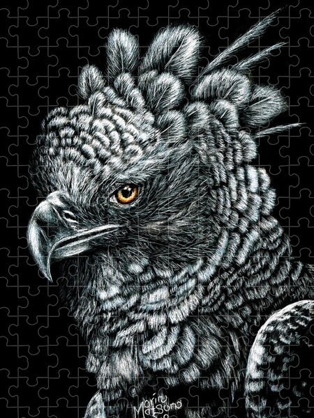 Harpy Eagle (SOLD) - by Monique Morin Matson from 3 - Scratchboard Art