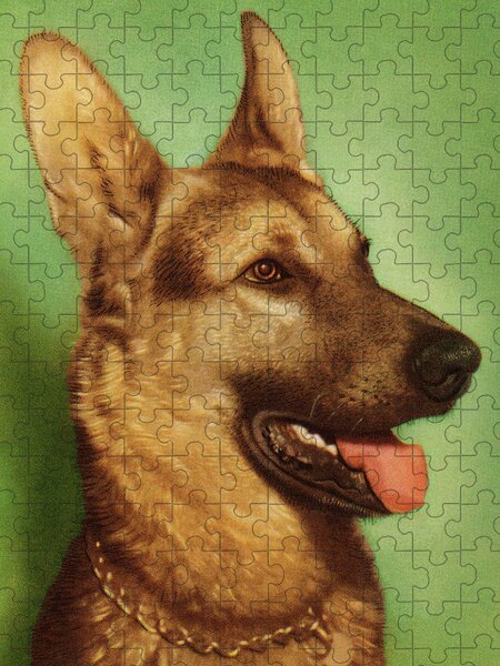 Black German Shepherd Night Jigsaw Puzzle