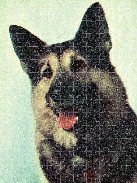 Psychedelic Rainbow German Shepherd Dog Jigsaw Puzzle