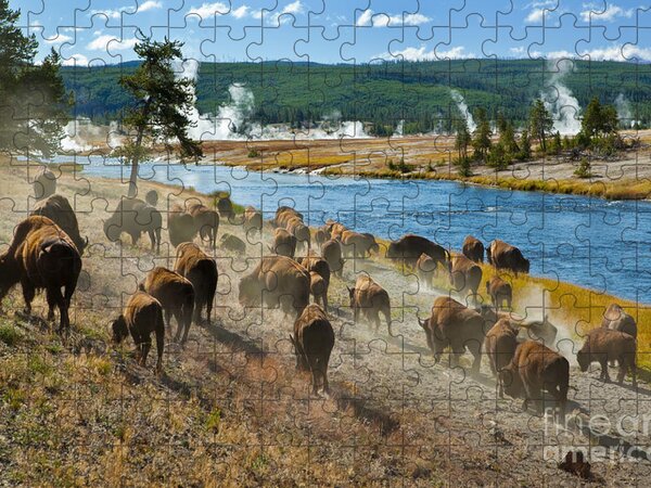 Wyoming Puzzles