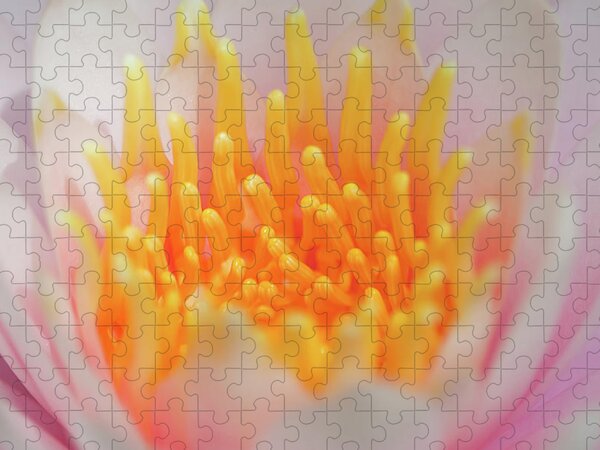 Orange Aqua Art - Sacred Tiger Lily iPhone 13 Case by Sharon Cummings -  Pixels Merch