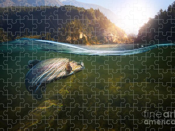 Trout Stream Jigsaw Puzzles for Sale - Fine Art America