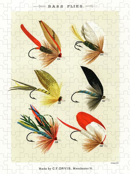 Fly Fishing Lures 2 Drawing by David Letts - Pixels