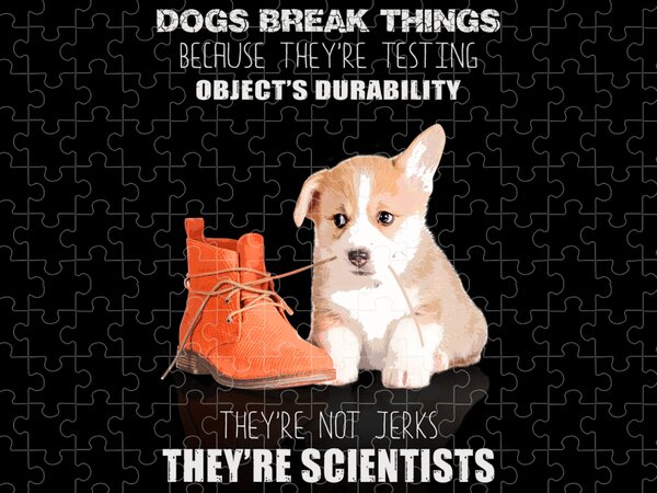 https://render.fineartamerica.com/images/rendered/search/flat/puzzle/images/artworkimages/medium/3/corgi-puppy-dog-theyre-not-jerk-theyre-scientist-fancy-lifestyle-art-transparent.png?&targetx=187&targety=0&imagewidth=626&imageheight=750&modelwidth=1000&modelheight=750&backgroundcolor=000000&orientation=0&producttype=puzzle-18-24&brightness=17&v=6