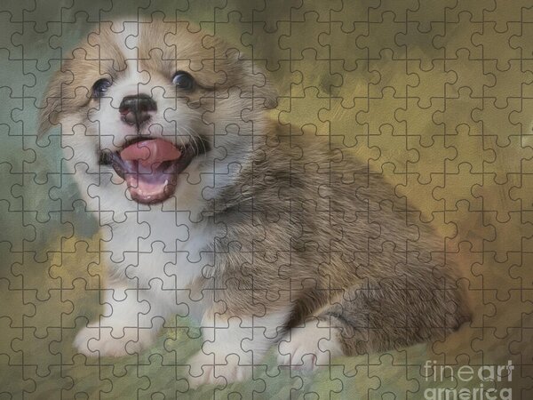 https://render.fineartamerica.com/images/rendered/search/flat/puzzle/images/artworkimages/medium/3/cute-welsh-corgi-puppy-elisabeth-lucas.jpg?brightness=267&v=6