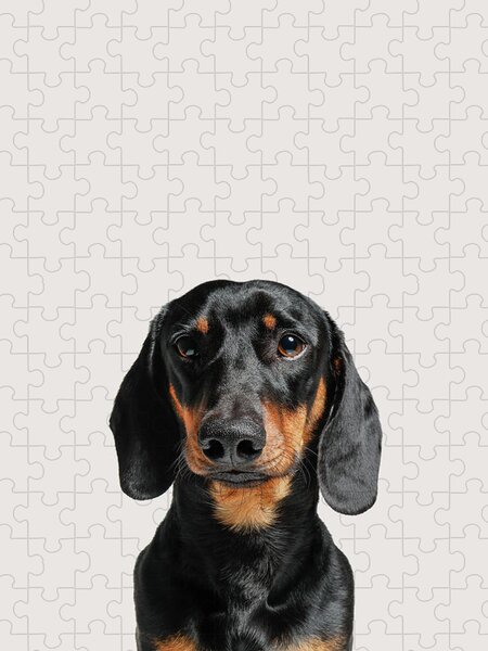 Delightful Dachshunds Dog Breed 300 Large Piece Shaped Jigsaw Puzzle