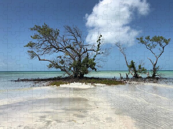 Clear Water Jigsaw Puzzles