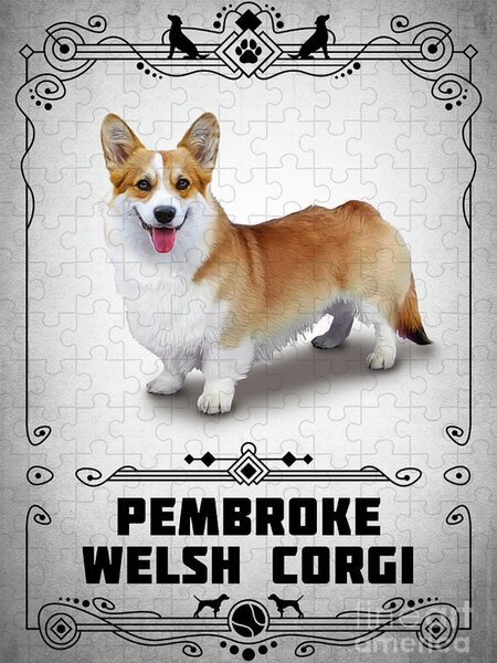 Dog 89 Corgi Jigsaw Puzzle