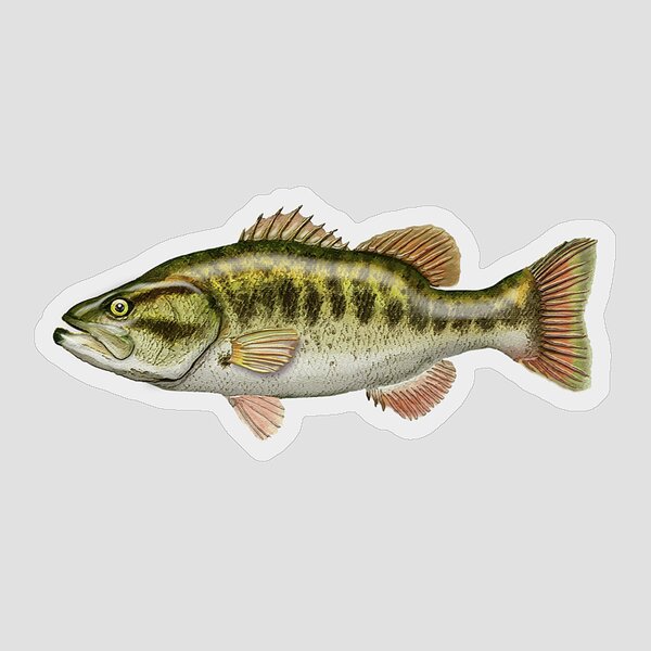 Bass Fishing Stickers for Sale - Pixels