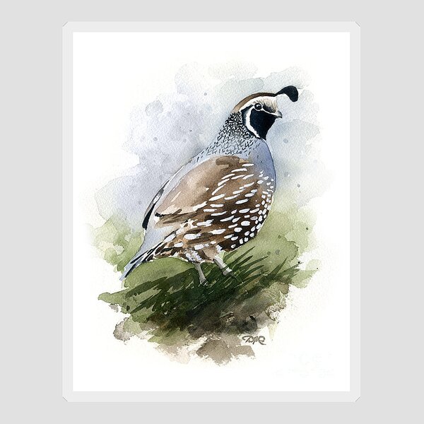 Quail Hunting Stickers for Sale - Fine Art America