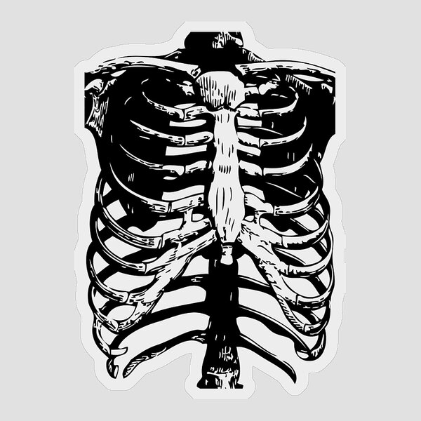 Lung Stickers - Pixels