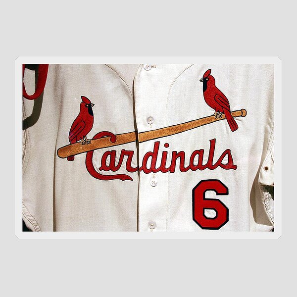 St Louis Cardinals Fredbird Mascot Tapestry by Geraldine Myszenski