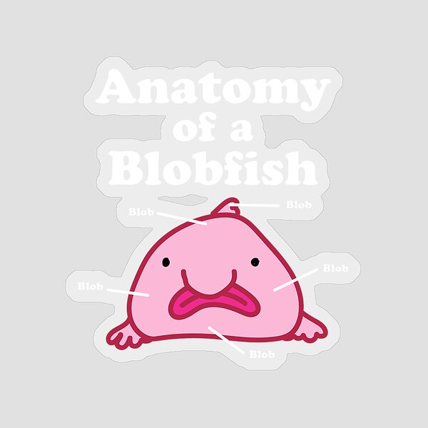 Anatomy of A Blobfish Funny Ugly Fish Meme | Postcard