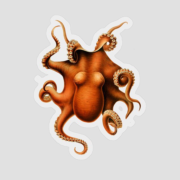 Seattle Kraken Octopus' Sticker