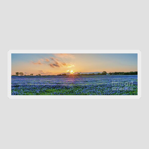 Prada Marfa Sunset Photograph by Bee Creek Photography - Tod and Cynthia -  Pixels