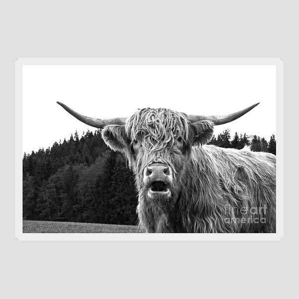 2 x Heart Stickers 15 cm Winter Highland Cow Scotland  #14591 