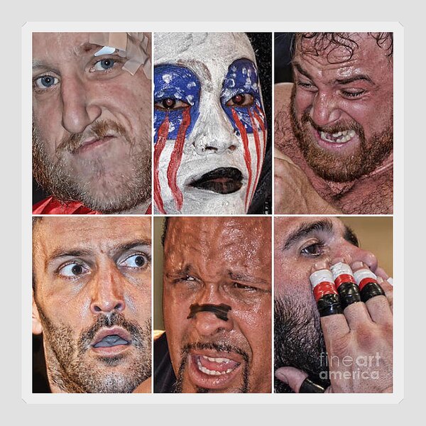Pro Wrestling Stickers for Sale - Fine Art America