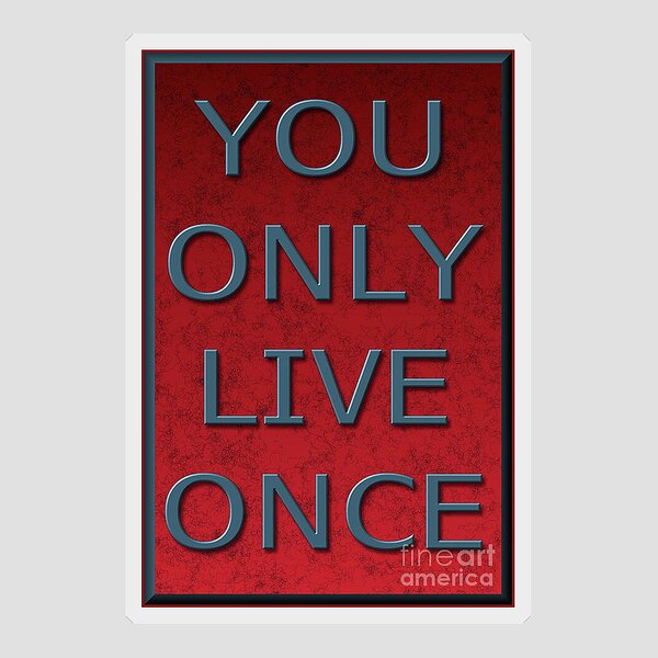 You only live once Sticker for Sale by letterbrighter