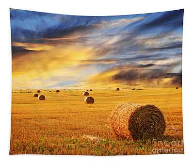 Sustainable Agriculture Tapestries