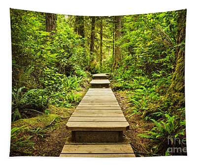 Temperate Rainforest Tapestries for Sale - Pixels