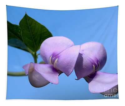 Designs Similar to Asian Purple Bean Blossoms
