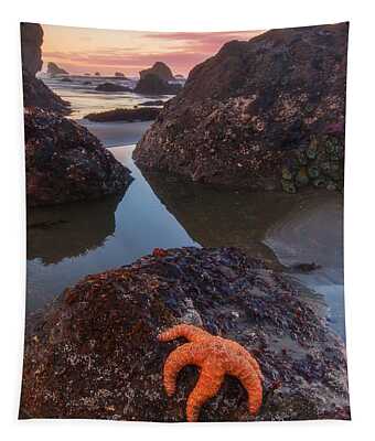 Starfish Tapestries