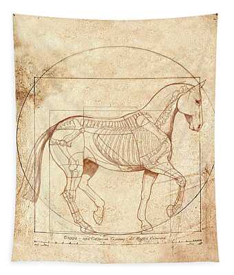 Equine Tapestries